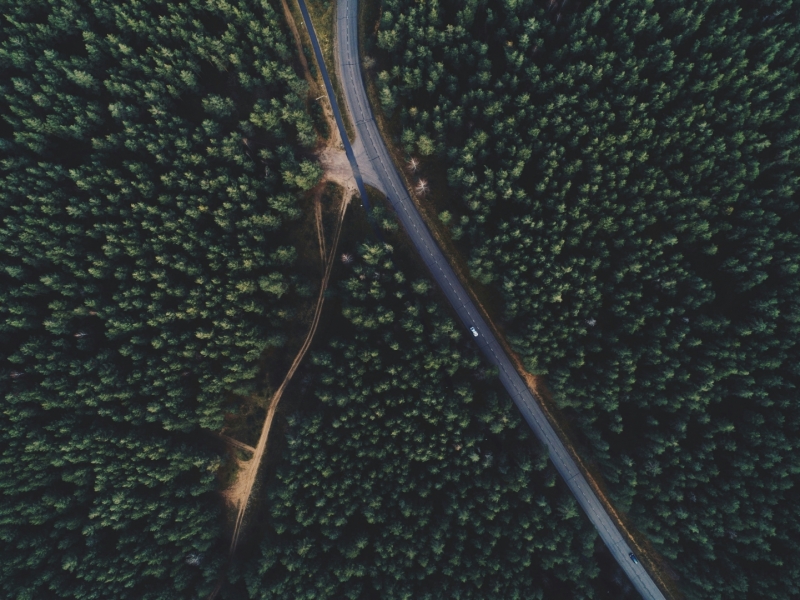 Drone view of a road through forests