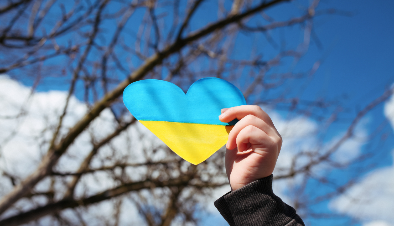Rokā sirds formas Ukrainas karogs